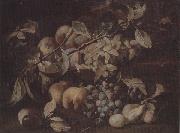unknow artist Still life of red and white grapes,peaches and plums,on a stone ledge painting